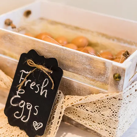 Lemon Tree House Aparthotel